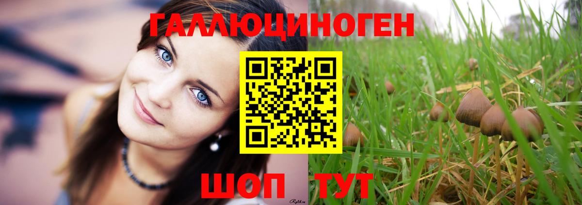Галлюциногенные грибы MAGIC MUSHROOMS  Вход с VPN  Богданович 